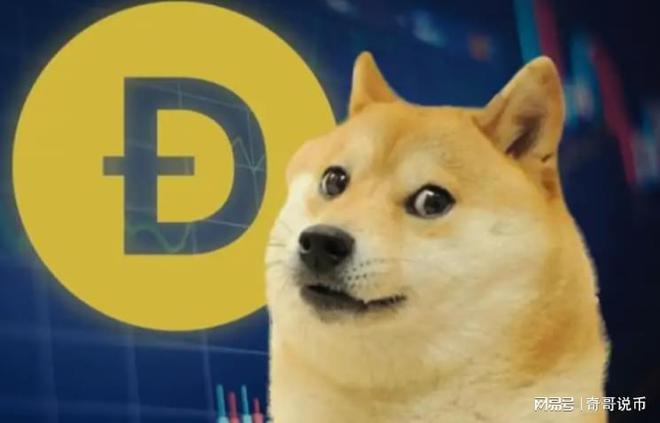 狗狗幣今日行情概覽，最新價格走勢分析
