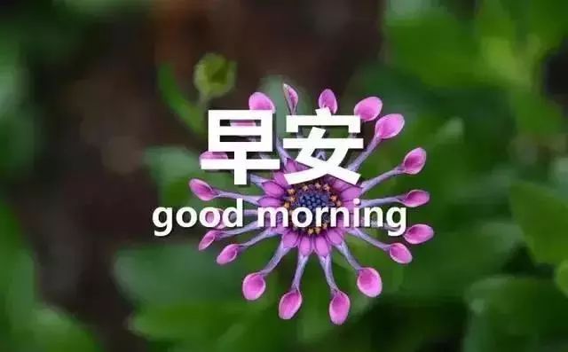 最新早安問候，喚醒活力與希望的一天