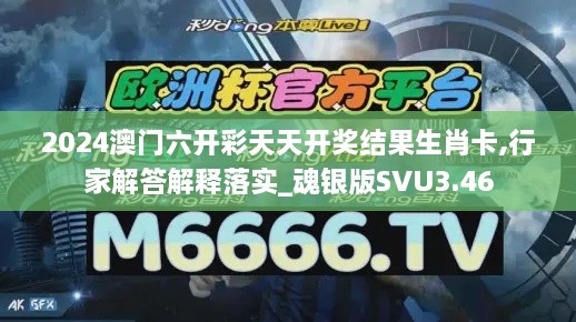 2024澳門六開彩天天開獎結(jié)果生肖卡,行家解答解釋落實_魂銀版SVU3.46