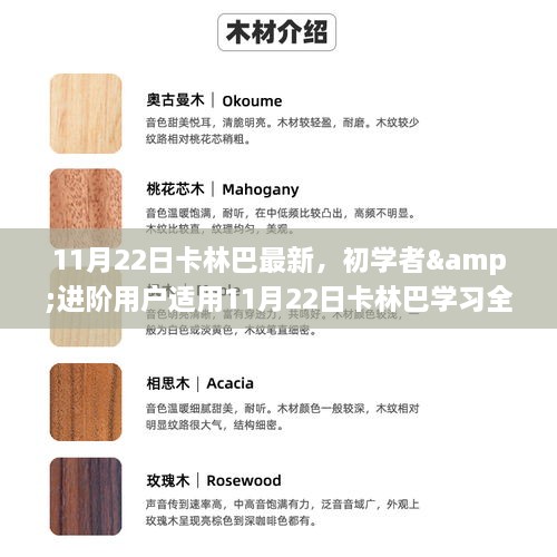 11月22日卡林巴最新，初學(xué)者&進階用戶適用11月22日卡林巴學(xué)習(xí)全新指南，一步步掌握卡林巴技巧