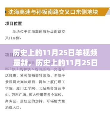 歷史上的11月25日，羊視頻現(xiàn)象背后的故事與影響揭秘