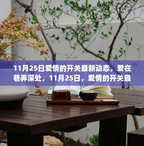 11月25日愛情的開關最新動態(tài)，巷弄深處的浪漫綻放