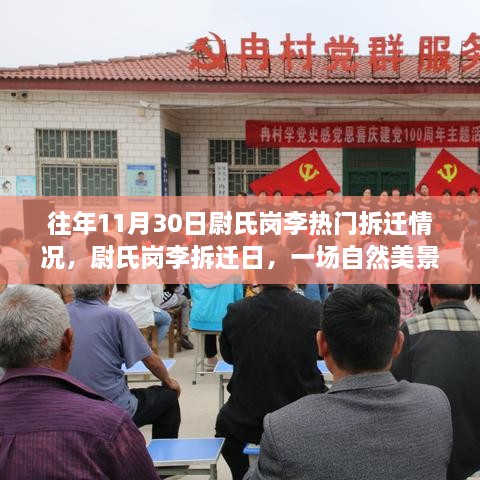 往年11月30日尉氏崗李熱門拆遷情況，尉氏崗李拆遷日，一場自然美景的探尋之旅