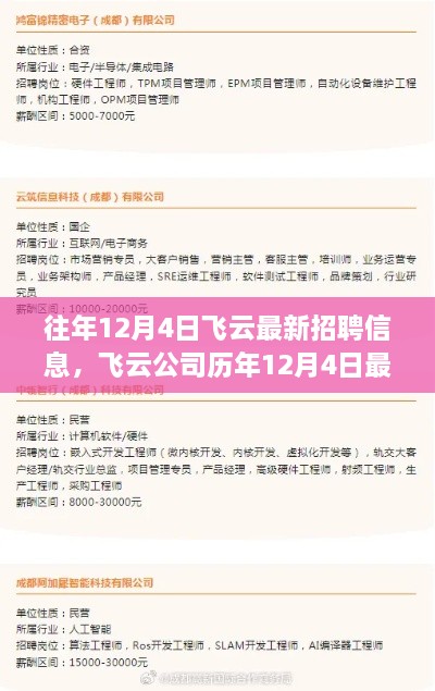 飛云公司歷年12月4日最新招聘信息深度解析與解讀