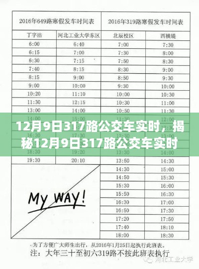 揭秘，12月9日317路公交車實時動態(tài)與運營優(yōu)化全解析。