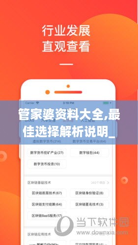 管家婆資料大全,最佳選擇解析說明_模擬版6.733