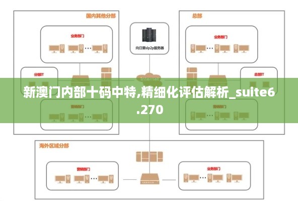 新澳門內(nèi)部十碼中特,精細(xì)化評估解析_suite6.270