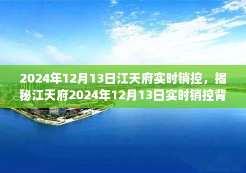 揭秘江天府實(shí)時(shí)銷控背后的秘密，深度解析2024年12月13日數(shù)據(jù)動(dòng)態(tài)與趨勢分析