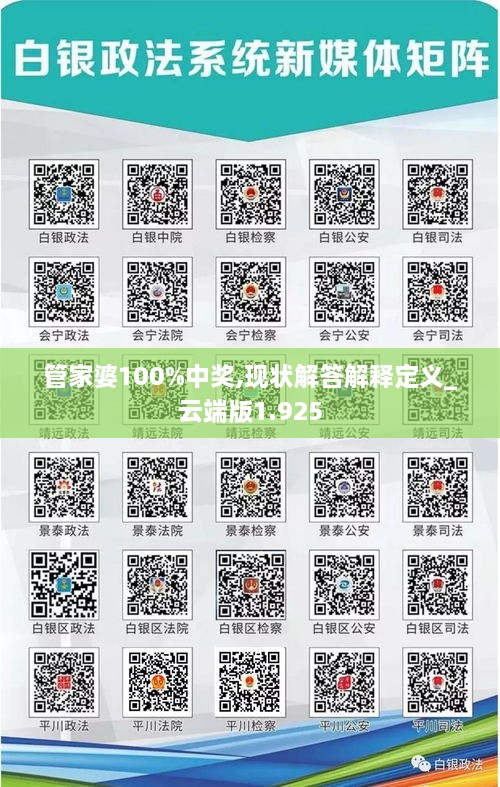 管家婆100%中獎,現(xiàn)狀解答解釋定義_云端版1.925