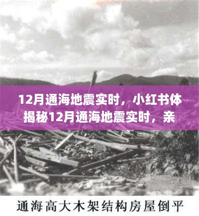 揭秘通海地震親歷者真實(shí)感受與應(yīng)對(duì)策略，小紅書實(shí)時(shí)更新地震動(dòng)態(tài)！