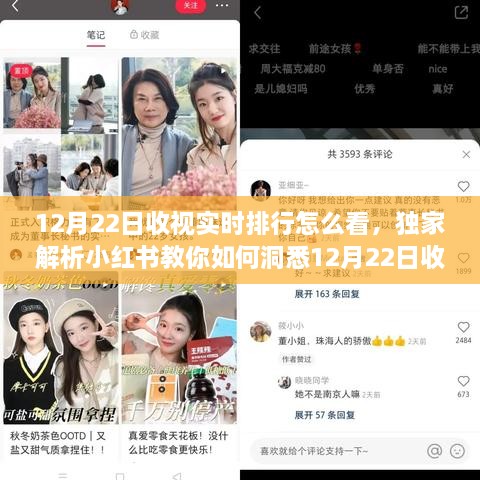 小紅書獨家解析，掌握12月22日收視實時排行，洞悉熱門節(jié)目風向標！