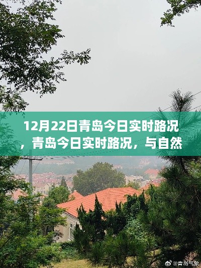 青島今日實時路況與美景交融，尋找內(nèi)心寧靜之旅
