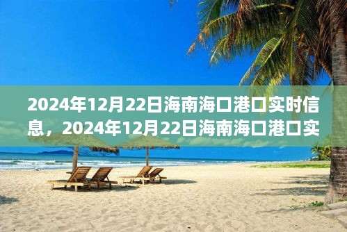 2024年12月22日海南?？诟劭趯崟r信息全解析，小紅書帶你掌握最新動態(tài)