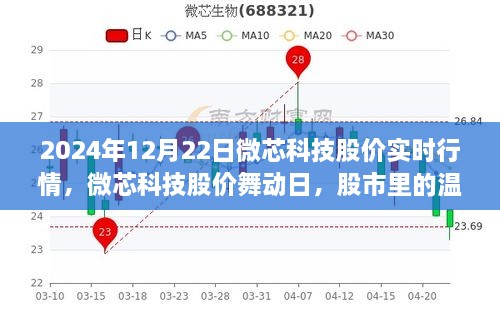 微芯科技股價實時行情解析，股市中的溫情故事在舞動日展現(xiàn)（2024年12月22日）