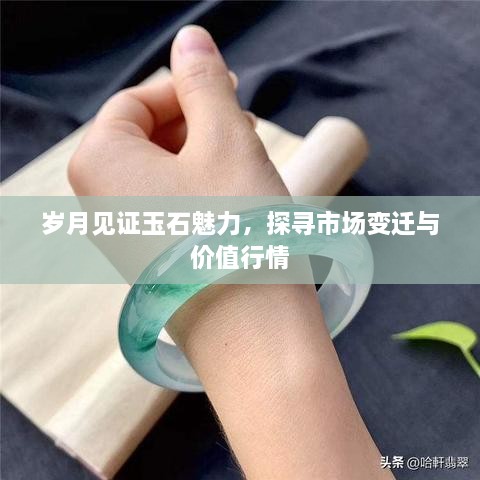 新聞動(dòng)態(tài) 第161頁