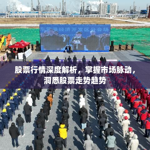 2025年1月 第343頁
