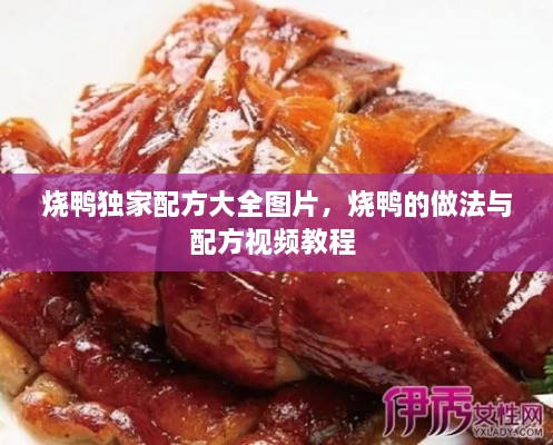 燒鴨獨(dú)家配方大全圖片，燒鴨的做法與配方視頻教程 