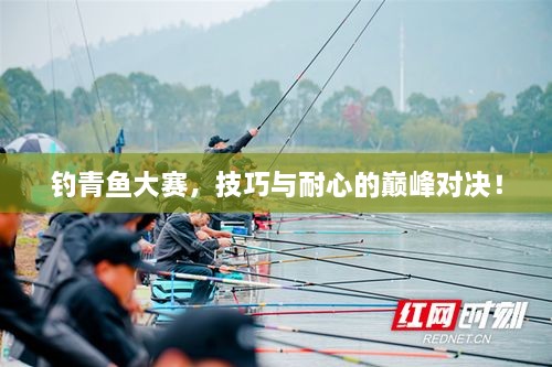 釣青魚大賽，技巧與耐心的巔峰對決！