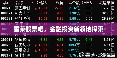 雪萊股票吧，金融投資新領(lǐng)地探索