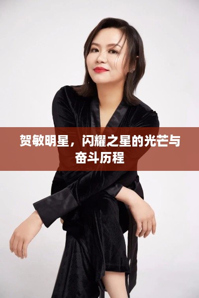 賀敏明星，閃耀之星的光芒與奮斗歷程