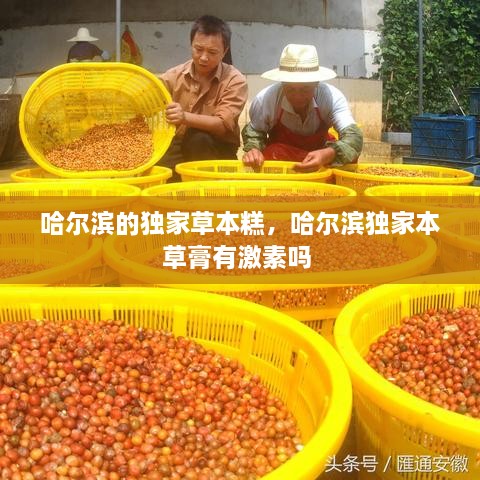 哈爾濱的獨家草本糕，哈爾濱獨家本草膏有激素嗎 
