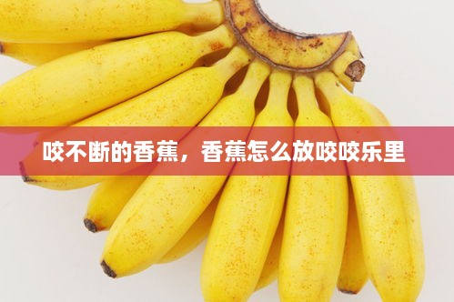咬不斷的香蕉，香蕉怎么放咬咬樂里 