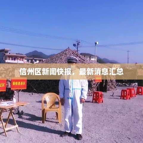 信州區(qū)新聞快報，最新消息匯總