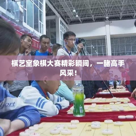 棋藝室象棋大賽精彩瞬間，一睹高手風(fēng)采！