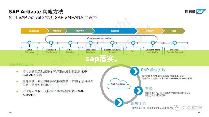 sap落實， 