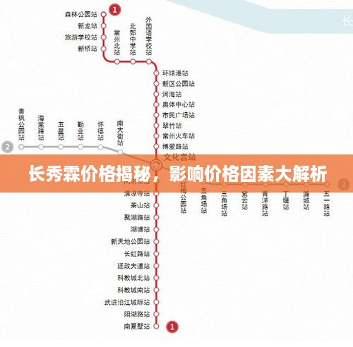 長秀霖價格揭秘，影響價格因素大解析