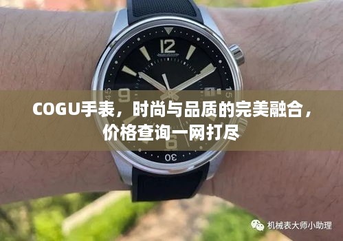 COGU手表，時(shí)尚與品質(zhì)的完美融合，價(jià)格查詢一網(wǎng)打盡