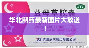 華北制藥最新圖片大放送！