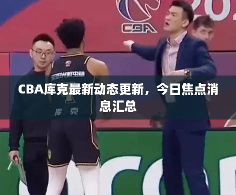 CBA庫克最新動態(tài)更新，今日焦點消息匯總