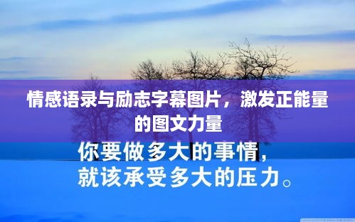 產(chǎn)品展示 第31頁