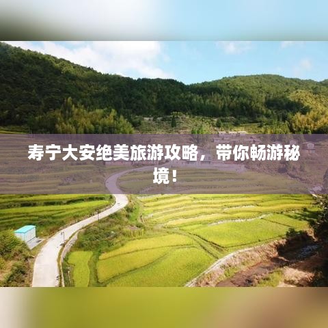 壽寧大安絕美旅游攻略，帶你暢游秘境！