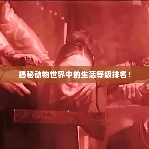 揭秘動(dòng)物世界中的生活等級(jí)排名！