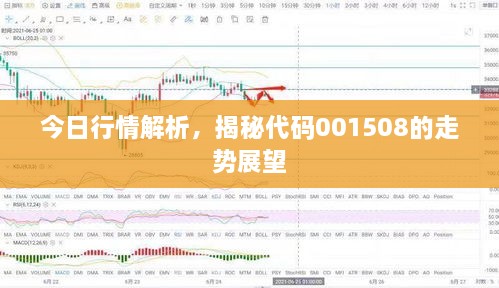 今日行情解析，揭秘代碼001508的走勢(shì)展望