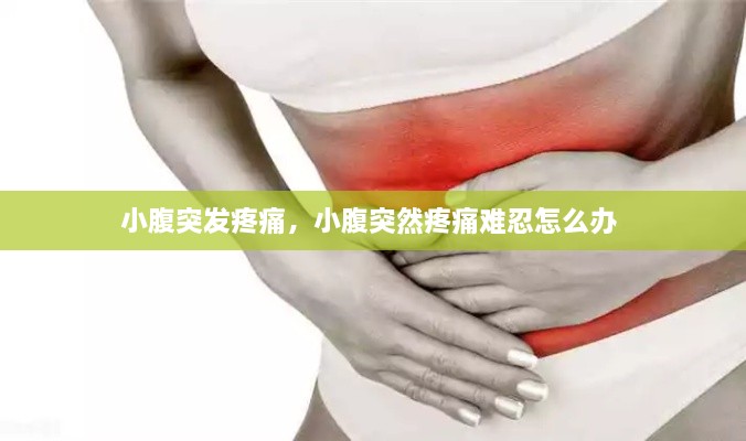 小腹突發(fā)疼痛，小腹突然疼痛難忍怎么辦 