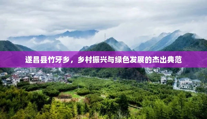 遂昌縣竹牙鄉(xiāng)，鄉(xiāng)村振興與綠色發(fā)展的杰出典范