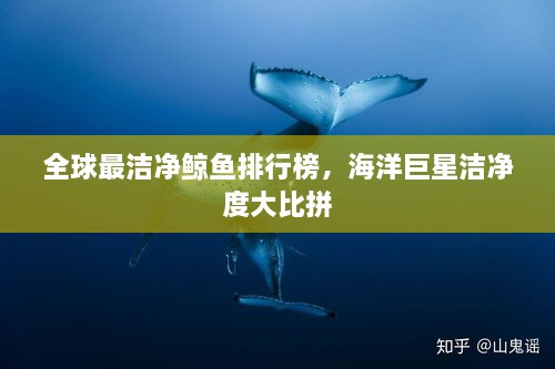 全球最潔凈鯨魚排行榜，海洋巨星潔凈度大比拼