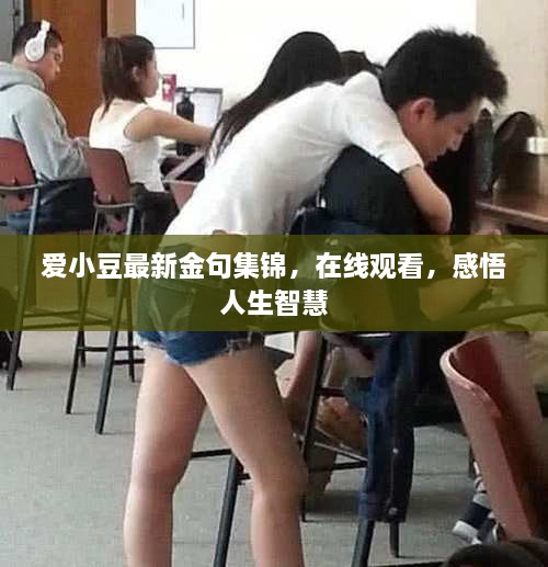 愛小豆最新金句集錦，在線觀看，感悟人生智慧