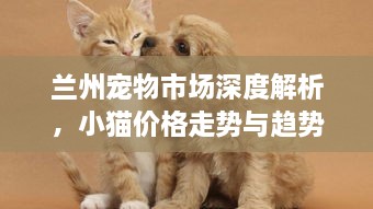 蘭州寵物市場深度解析，小貓價格走勢與趨勢探尋
