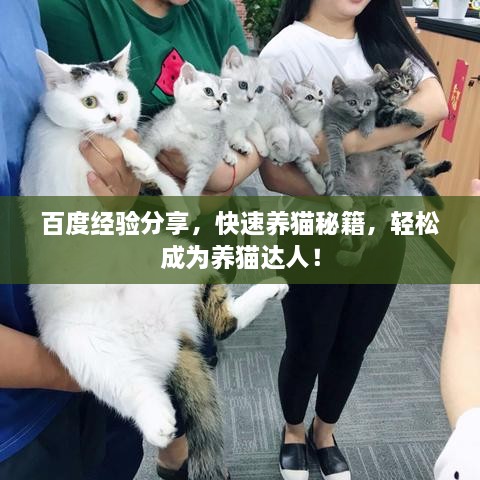 百度經(jīng)驗(yàn)分享，快速養(yǎng)貓秘籍，輕松成為養(yǎng)貓達(dá)人！