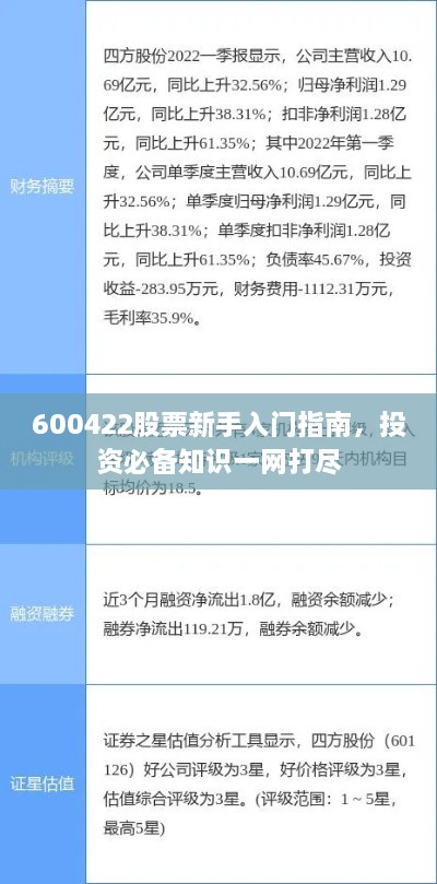 600422股票新手入門指南，投資必備知識一網(wǎng)打盡