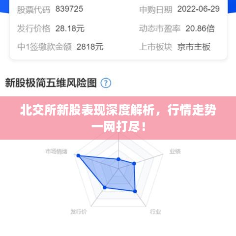 北交所新股表現(xiàn)深度解析，行情走勢(shì)一網(wǎng)打盡！