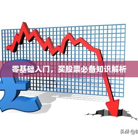 零基礎(chǔ)入門(mén)，買(mǎi)股票必備知識(shí)解析