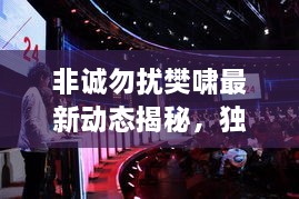 非誠勿擾樊嘯最新動態(tài)揭秘，獨家爆料吸引眼球！