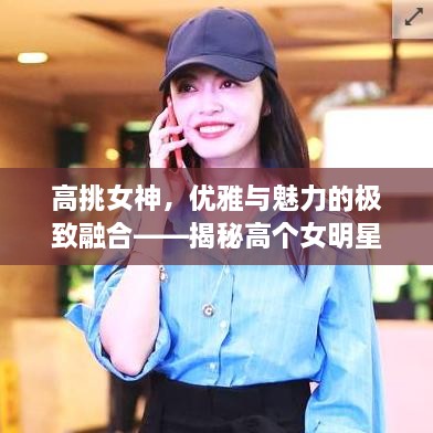 高挑女神，優(yōu)雅與魅力的極致融合——揭秘高個女明星的魅力風采
