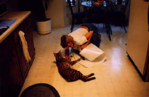 JOTGGR.jpg (36514 bytes)